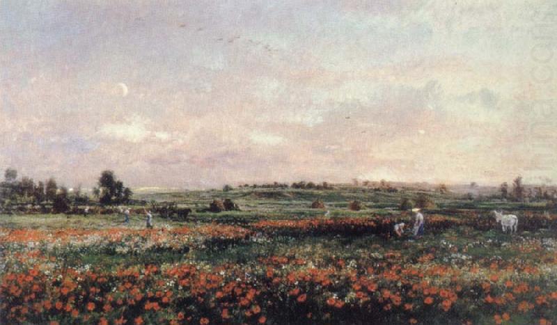 Charles Francois Daubigny Poppy Field china oil painting image
